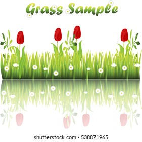 Very high quality original trendy illustration of grass with flowers, chamomile, tulip