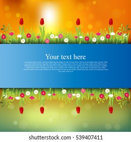 Very high quality original trendy banner with grass, flowers, chamomile, Tulip on sunset background