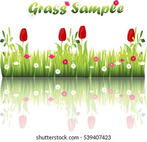 Very high quality original trendy illustration of grass with flowers, chamomile, tulip