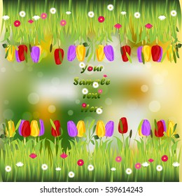 Very high quality original trendy illustration of grass with flowers, tulip frame for text or card