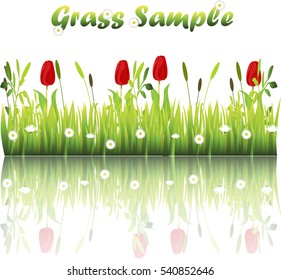 Very high quality original trendy illustration of grass with flowers, chamomile, tulip