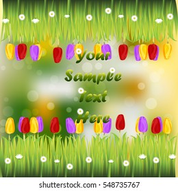 Very high quality original trendy illustration of grass with flowers, tulip frame for text or card