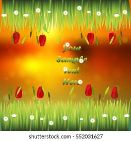 Very high quality original trendy illustration of grass with flowers, tulip frame for text or card on sunset background