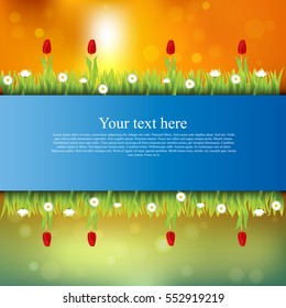 Very high quality original trendy banner with grass, flowers, chamomile, Tulip on sunset background