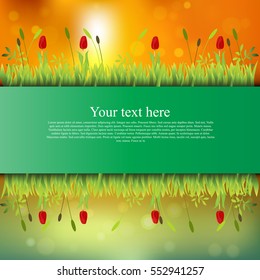 Very high quality original trendy banner with grass, flowers, chamomile, Tulip on sunset background