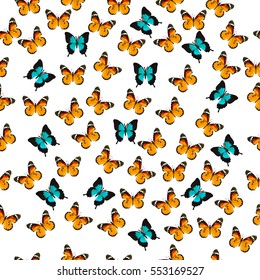 Very high quality original trendy vector seamless pattern with colorful butterfly