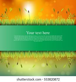 Very high quality original trendy banner with grass, flowers, chamomile and realistic ribbon on sunset background