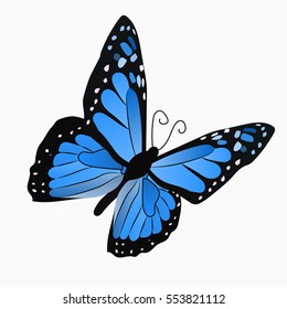 Very high quality original trendy vector illustration of a colorful butterfly