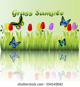 Very high quality original trendy illustration of grass with flowers, chamomile, tulip and butterfly