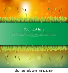Very high quality original trendy banner with grass, flowers, chamomile and realistic ribbon on sunset background