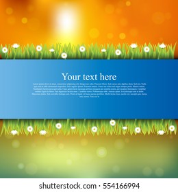 Very high quality original trendy banner with grass, flowers, chamomile and realistic ribbon on sunset background