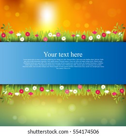 Very high quality original trendy banner with grass, flowers, chamomile and realistic ribbon on sunset background
