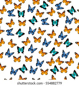 Very high quality original trendy vector seamless pattern with colorful butterfly