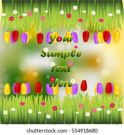 Very high quality original trendy illustration of grass with flowers, tulip frame for text or card