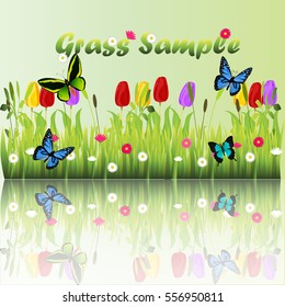 Very high quality original trendy illustration of grass with flowers, chamomile, tulip and butterfly