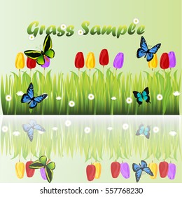 Very high quality original trendy illustration of grass with flowers,  tulip and butterfly
