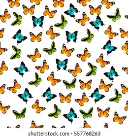 Very high quality original trendy vector seamless pattern with colorful butterfly