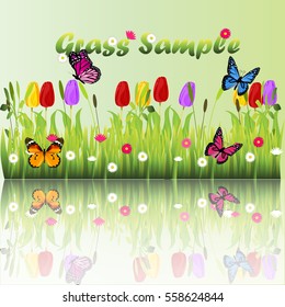 Very high quality original trendy illustration of grass with flowers, chamomile, tulip and butterfly