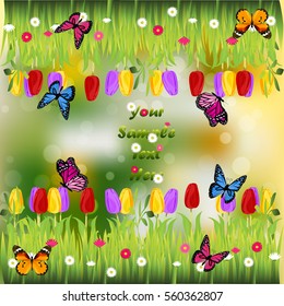 Very high quality original trendy illustration of grass with flowers, tulip and butterfly frame for text or card
