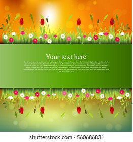 Very high quality original trendy banner with grass, flowers, chamomile, Tulip on sunset background