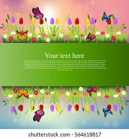 Very high quality original trendy banner with grass, flowers, chamomile, Tulip and butterfly