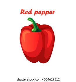 Very high quality original trendy vector illustration of red bell pepper
