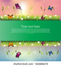 Very high quality original trendy banner with grass, flowers, chamomile and butterfly