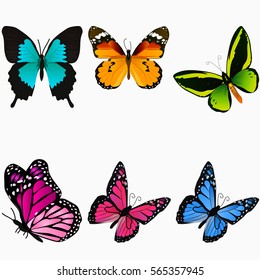 Very high quality original trendy vector set with colorful butterfly