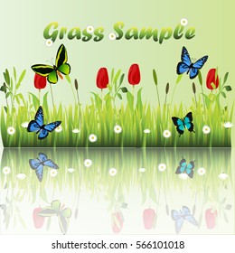 Very high quality original trendy illustration of grass with flowers, chamomile and butterfly