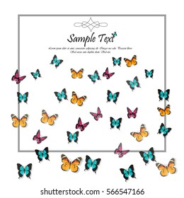 Very high quality original trendy vector illustration of a spring background with butterflies. Frame for decoration,