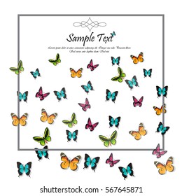 Very high quality original trendy vector illustration of a spring background with butterflies. Frame for decoration,