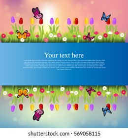 Very high quality original trendy banner with grass, flowers, chamomile, Tulip and butterfly