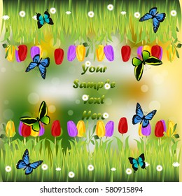 Very high quality original trendy illustration of grass with flowers, tulip and butterfly frame for text or card
