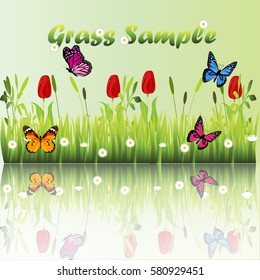 Very high quality original trendy illustration of grass with flowers, chamomile and butterfly