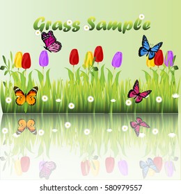 Very high quality original trendy illustration of grass with flowers, chamomile, tulip and butterfly