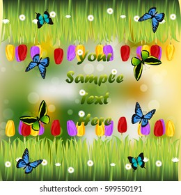 Very high quality original trendy illustration of grass with flowers, tulip and butterfly frame for text or card