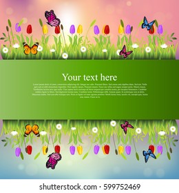 Very high quality original trendy banner with grass, flowers, chamomile, Tulip and butterfly