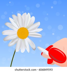 Very high quality original trendy vector illustration of woman hands with manicure playes loves me not on a daisy or chamomile