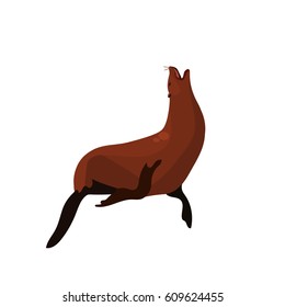 Very high quality original trendy vector illustration of Sea Lion or seal