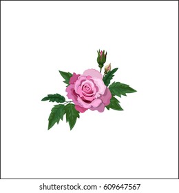 Very high quality original trendy realistic vector illustration of rose bush or bouquet of roses