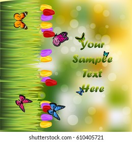 Very high quality original trendy illustration of grass with flowers, tulip and butterfly frame for text or card