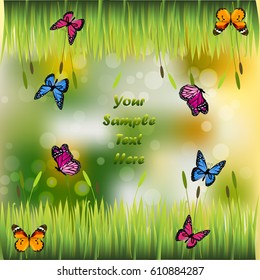 Very high quality original trendy illustration of grass with flowers and butterfly frame for text or card