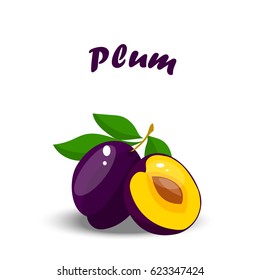 Very high quality original trendy vector illustration realistic plum whole and slice. Fully editable vector