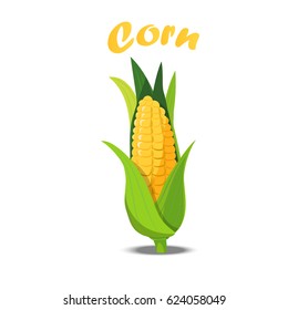 Very high quality original trendy vector illustration of sweet golden corn. Bunch of Corn. summer farm design elements