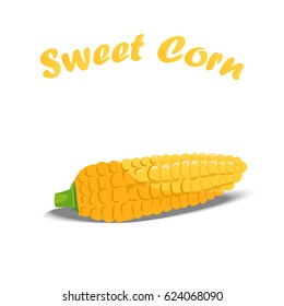 Very high quality original trendy vector illustration of sweet golden corn. Bunch of Corn. summer farm design elements