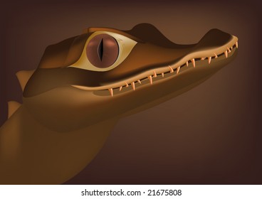 very kind crocodile