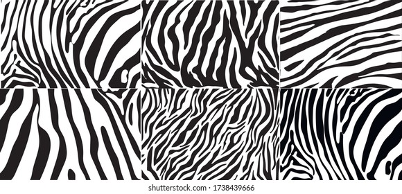 Un gran conjunto de rayas de cebra en blanco y negro. Piel de cebra. Fondo cebra. Ilustración del vector
