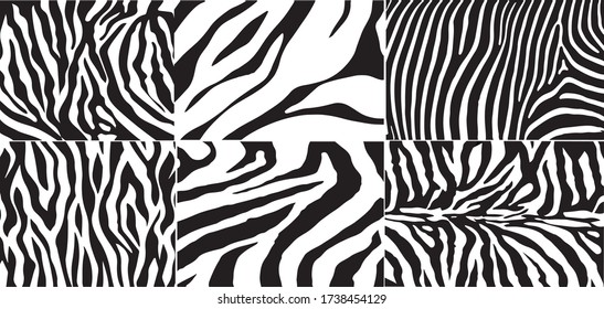 A very large set of black and white zebra stripes background. Zebra skin. Zebra background. Vector illustration