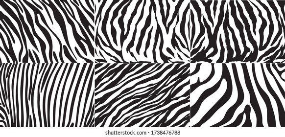 A very large set of black and white zebra stripes background. Zebra skin. Zebra background. Vector illustration