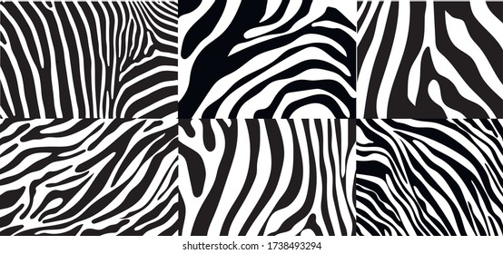 Un gran conjunto de rayas de cebra en blanco y negro. Piel de cebra. Fondo cebra. Ilustración del vector